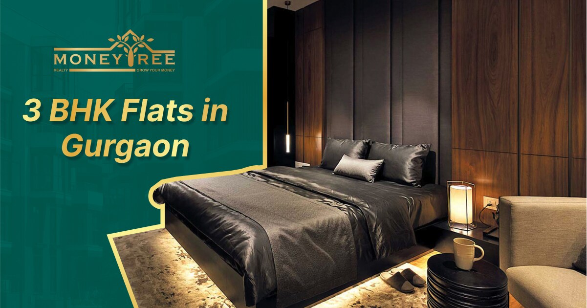 3 BHK Flats in Gurgaon