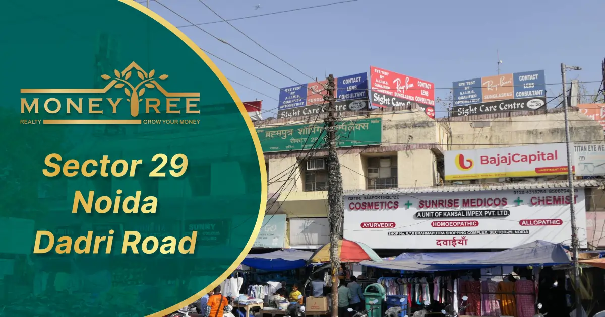 Sector 31 Noida | Dadri Greater Noida Road